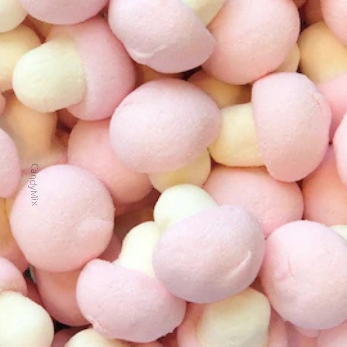 🌙✨ Mini Champignon- Dulceplus (100g)