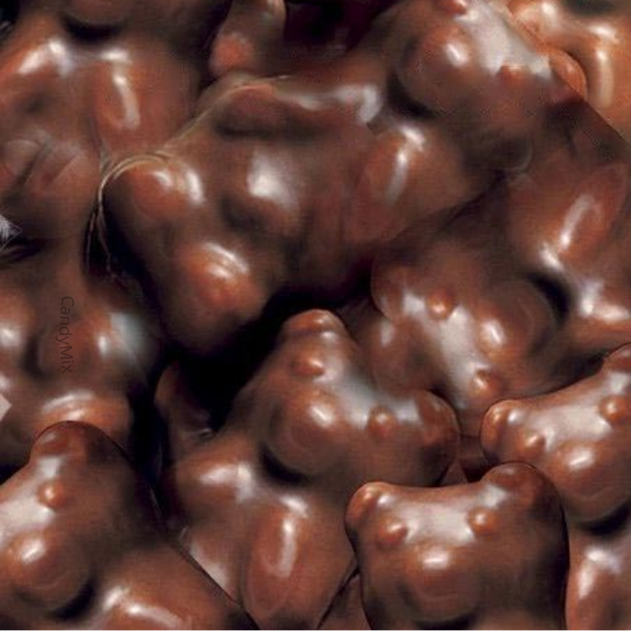 🍫 Koala Guimauve Enrobés de Chocolat Noir - Lutti (100g)