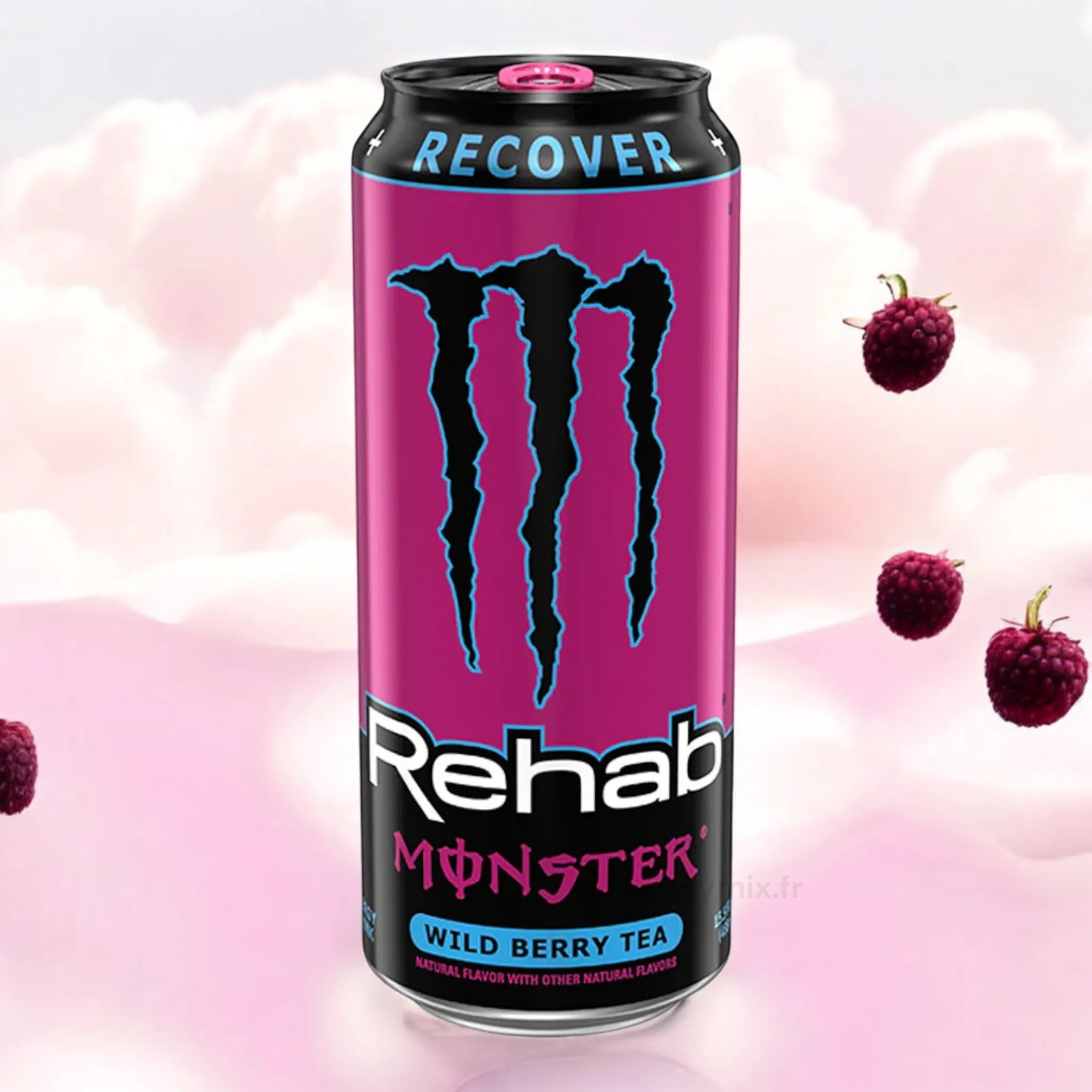 Monster Recover Wild Berry (US)